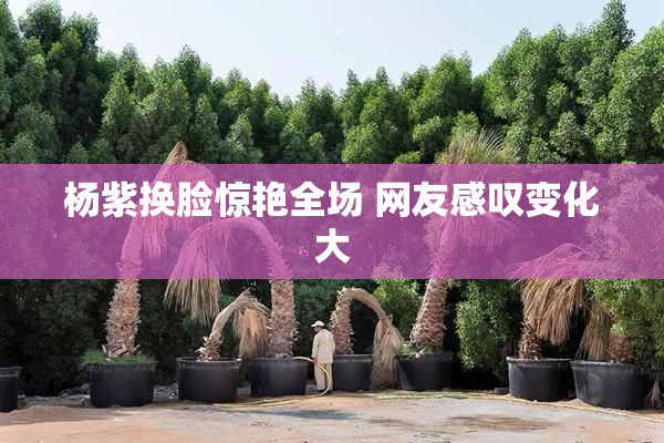 杨紫换脸惊艳全场 网友感叹变化大