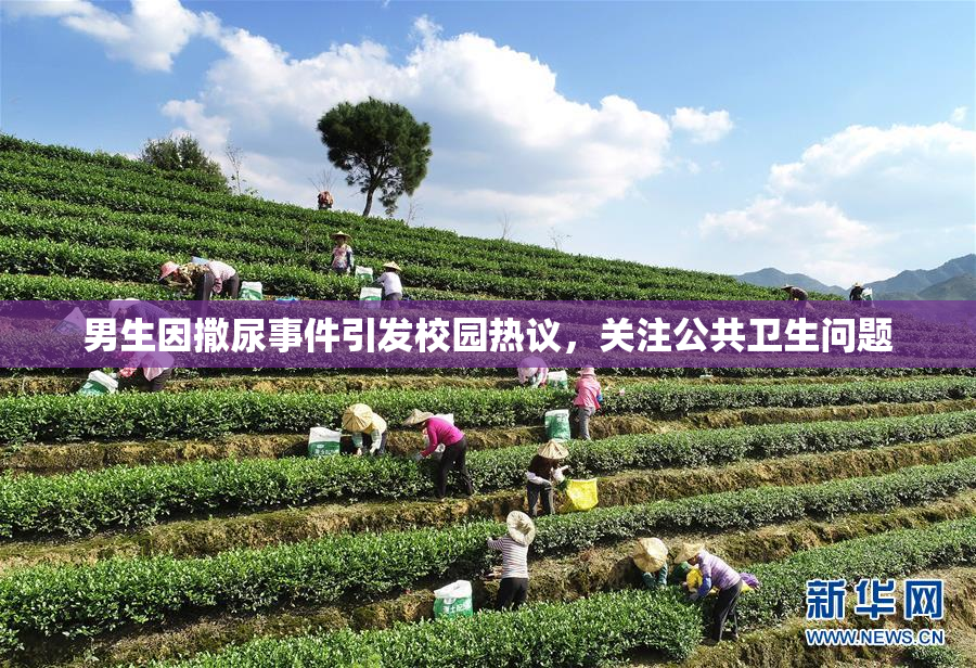 男生因撒尿事件引发校园热议，关注公共卫生问题