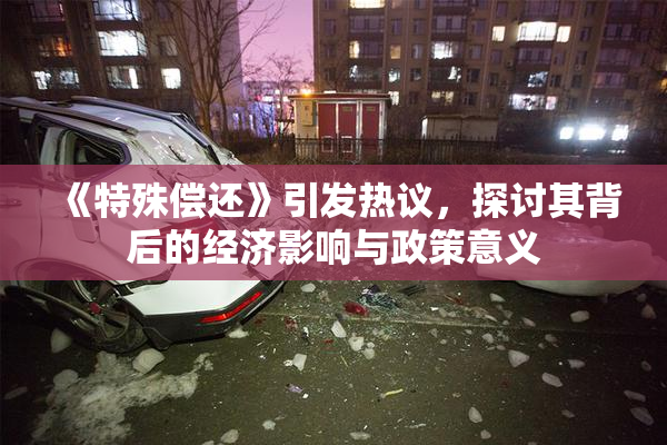 《特殊偿还》引发热议，探讨其背后的经济影响与政策意义