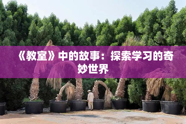 《教室》中的故事：探索学习的奇妙世界