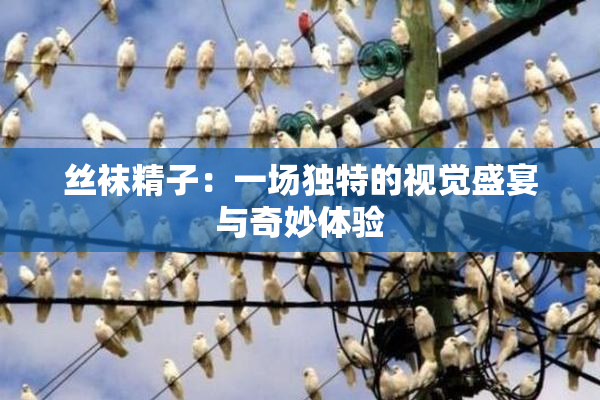 丝袜精子：一场独特的视觉盛宴与奇妙体验