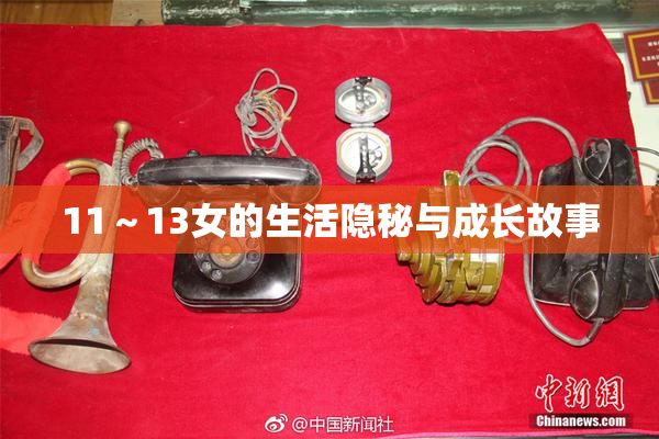 11～13女的生活隐秘与成长故事