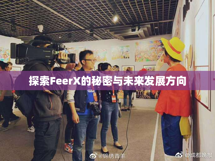 探索FeerX的秘密与未来发展方向