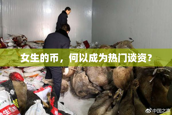 女生的币，何以成为热门谈资？