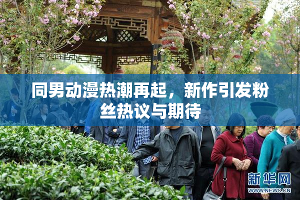 同男动漫热潮再起，新作引发粉丝热议与期待