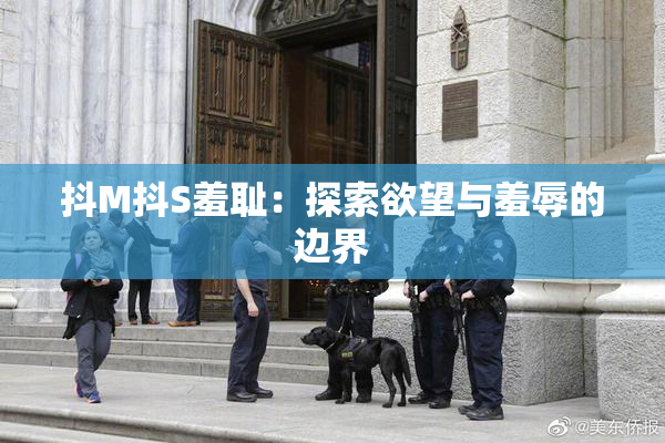 抖M抖S羞耻：探索欲望与羞辱的边界