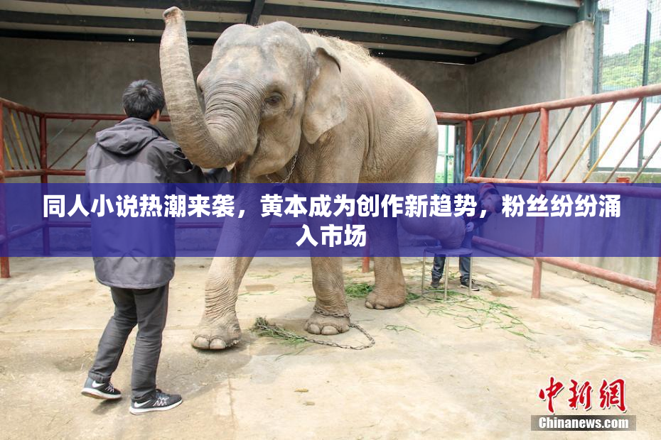 同人小说热潮来袭，黄本成为创作新趋势，粉丝纷纷涌入市场