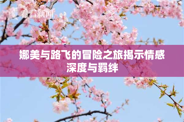 娜美与路飞的冒险之旅揭示情感深度与羁绊