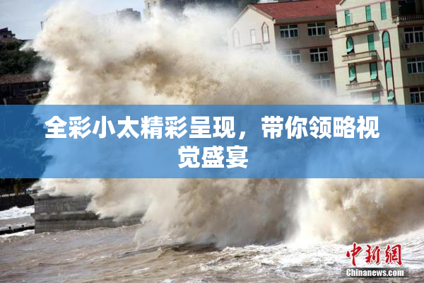 全彩小太精彩呈现，带你领略视觉盛宴