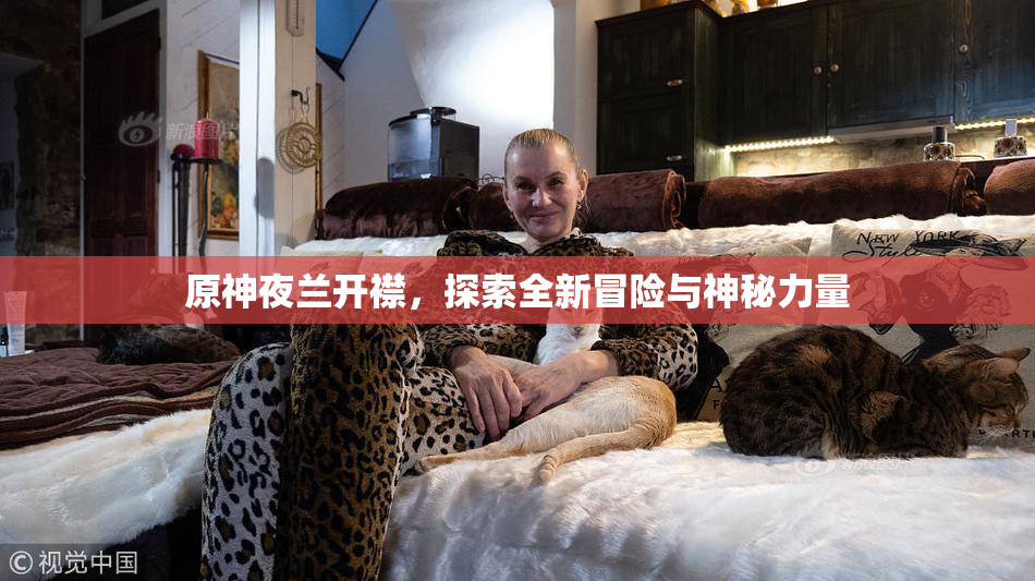 原神夜兰开襟，探索全新冒险与神秘力量