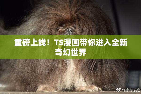 重磅上线！TS漫画带你进入全新奇幻世界