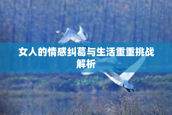 女人的情感纠葛与生活重重挑战解析