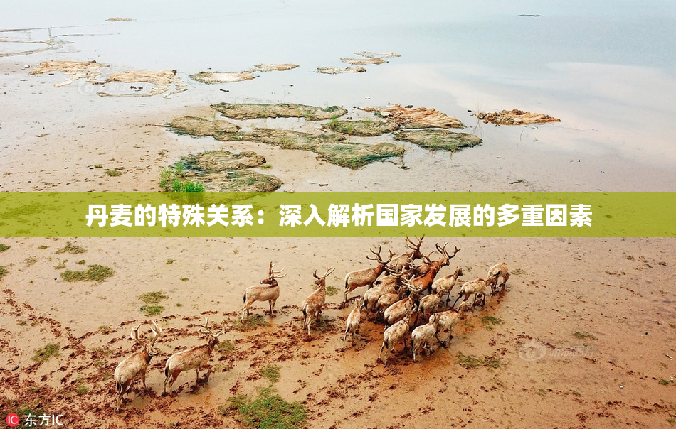 丹麦的特殊关系：深入解析国家发展的多重因素