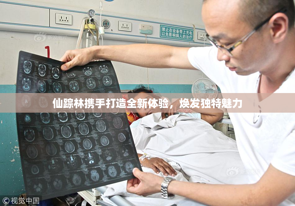 仙踪林携手打造全新体验，焕发独特魅力