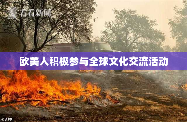 欧美人积极参与全球文化交流活动