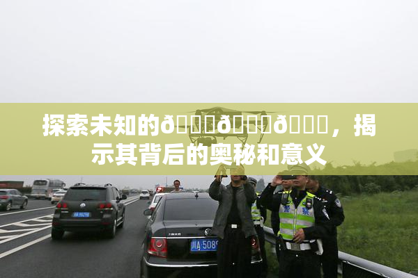 探索未知的🍆🍑🔞，揭示其背后的奥秘和意义