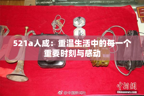521a人成：重温生活中的每一个重要时刻与感动