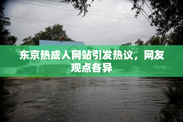 东京热成人网站引发热议，网友观点各异
