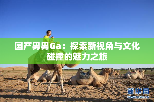 国产男男Ga：探索新视角与文化碰撞的魅力之旅