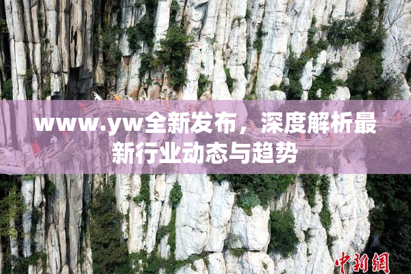 www.yw全新发布，深度解析最新行业动态与趋势