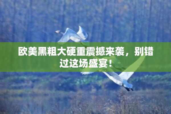 欧美黑粗大硬重震撼来袭，别错过这场盛宴！