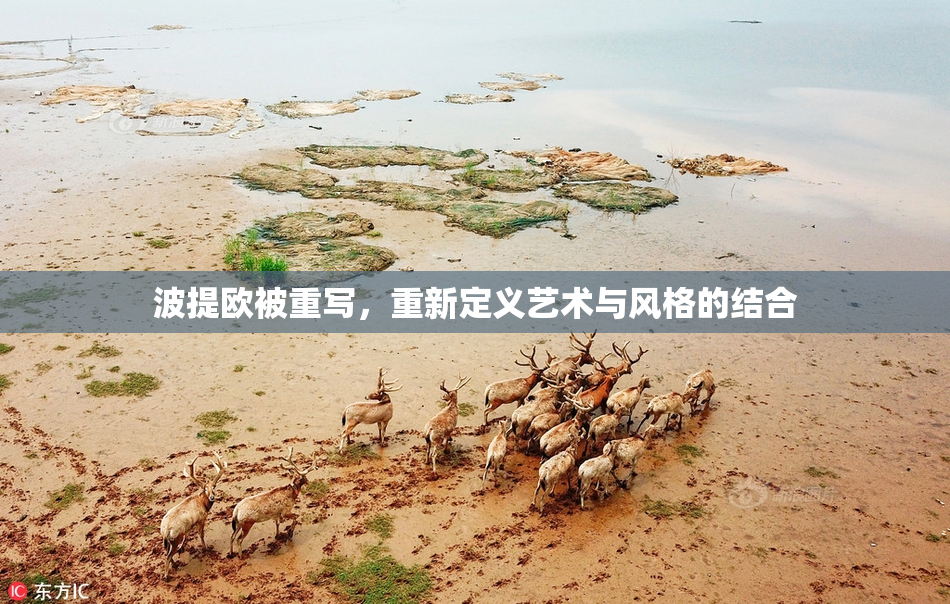 波提欧被重写，重新定义艺术与风格的结合