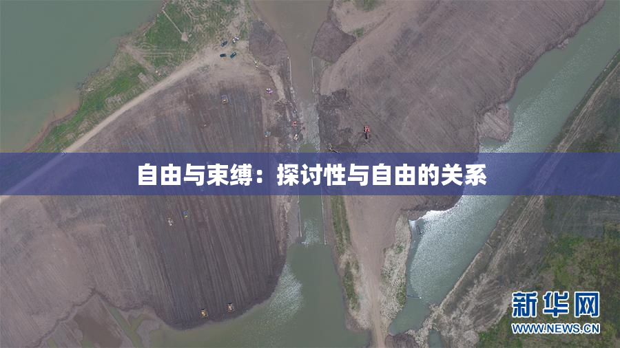 自由与束缚：探讨性与自由的关系