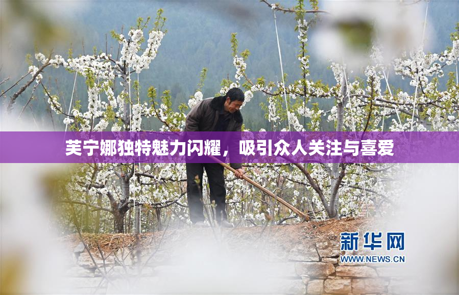 芙宁娜独特魅力闪耀，吸引众人关注与喜爱
