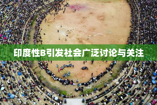 印度性B引发社会广泛讨论与关注