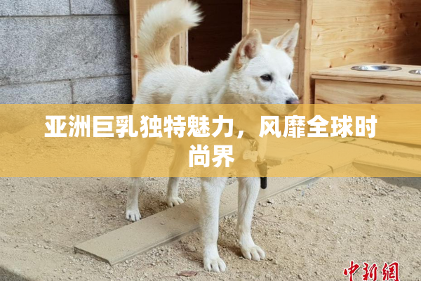 亚洲巨乳独特魅力，风靡全球时尚界