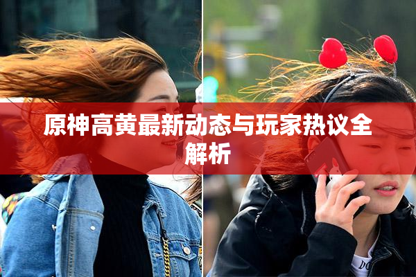 原神高黄最新动态与玩家热议全解析