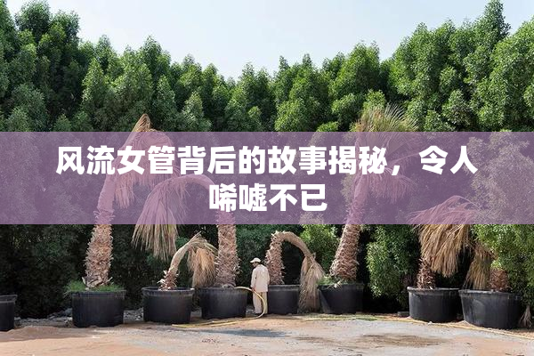 风流女管背后的故事揭秘，令人唏嘘不已