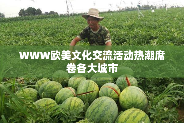 WWW欧美文化交流活动热潮席卷各大城市