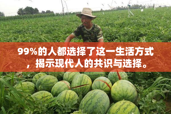 99%的人都选择了这一生活方式，揭示现代人的共识与选择。