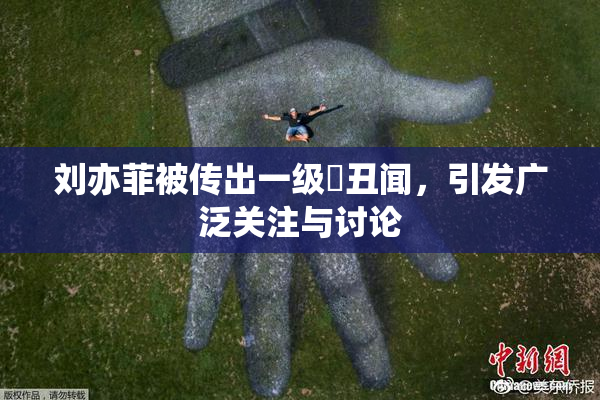 刘亦菲被传出一级婬丑闻，引发广泛关注与讨论