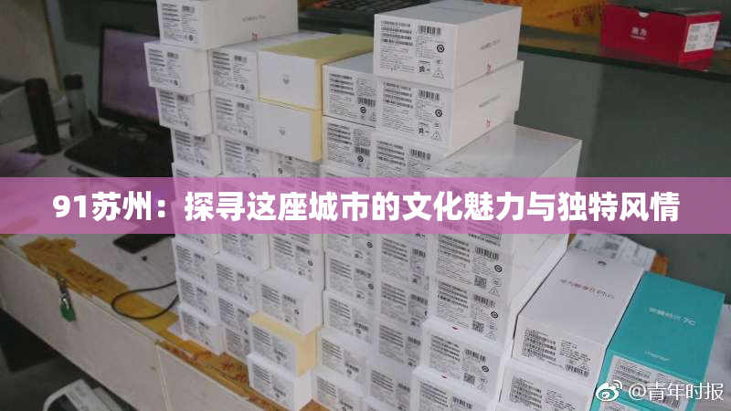 91苏州：探寻这座城市的文化魅力与独特风情