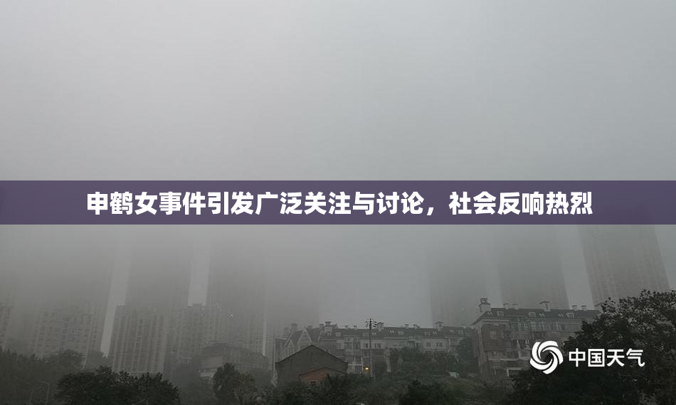 申鹤女事件引发广泛关注与讨论，社会反响热烈