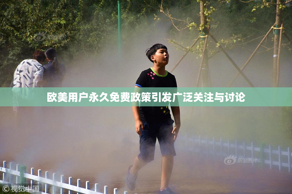 欧美用户永久免费政策引发广泛关注与讨论