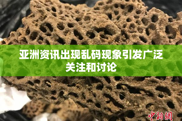 亚洲资讯出现乱码现象引发广泛关注和讨论