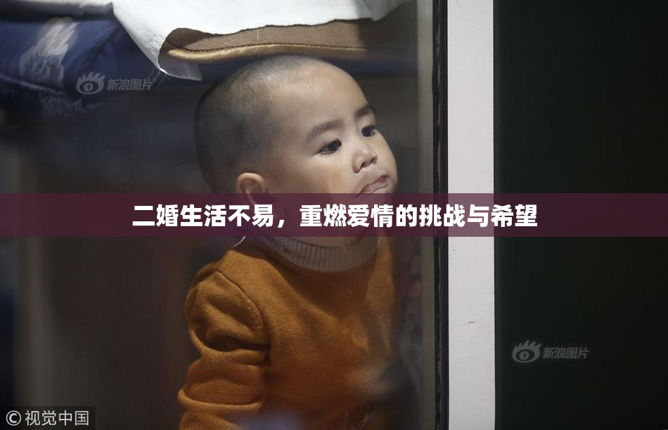 二婚生活不易，重燃爱情的挑战与希望