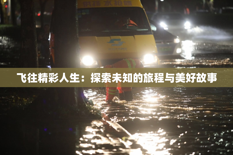 飞往精彩人生：探索未知的旅程与美好故事