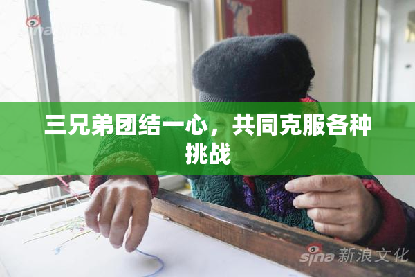 三兄弟团结一心，共同克服各种挑战