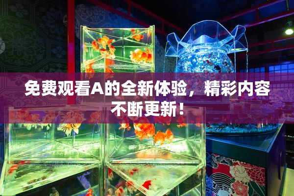 免费观看A的全新体验，精彩内容不断更新！