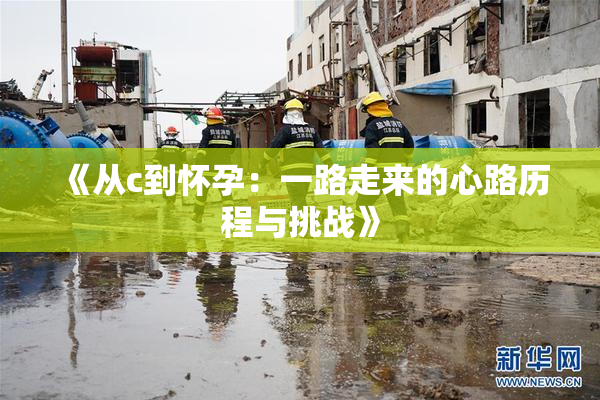 《从c到怀孕：一路走来的心路历程与挑战》