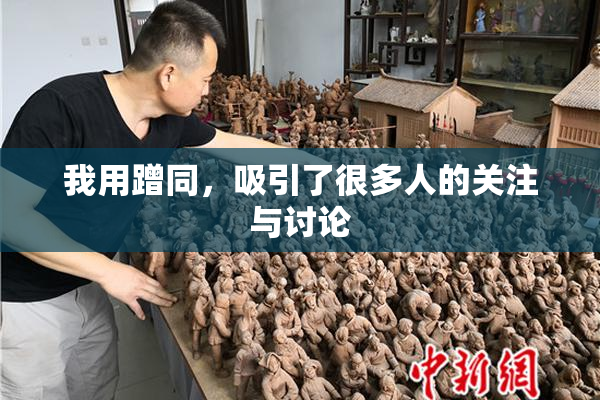 我用蹭同，吸引了很多人的关注与讨论