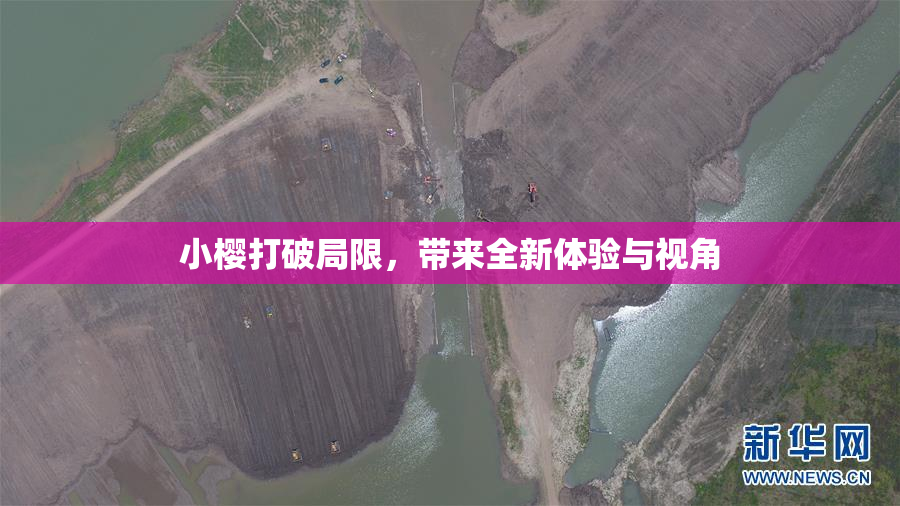 小樱打破局限，带来全新体验与视角