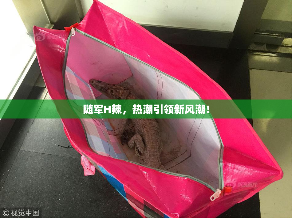 随军H辣，热潮引领新风潮！