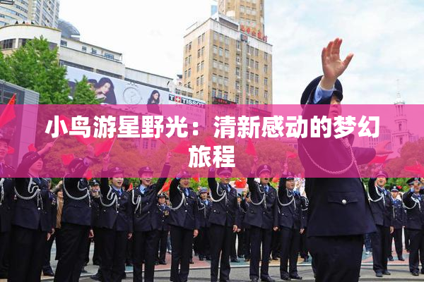 小鸟游星野光：清新感动的梦幻旅程