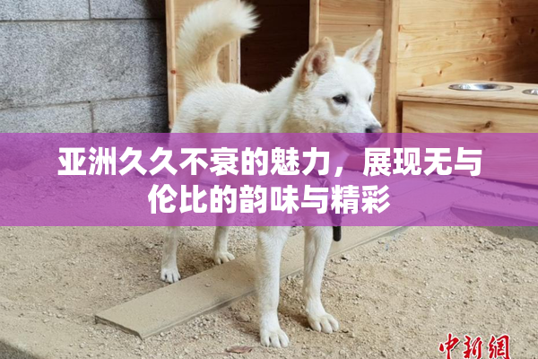 亚洲久久不衰的魅力，展现无与伦比的韵味与精彩