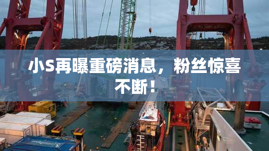 小S再曝重磅消息，粉丝惊喜不断！